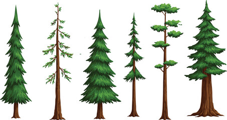 Tree illustration collection, coniferous and deciduous variations, foliage density, branching patterns, seasonal growth, botanical artwork, natural landscape, environmental concept drawing © MDAMIRHAMJA