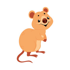 Cute Quokka Animal with Pretty Snout and Tail Vector Illustration