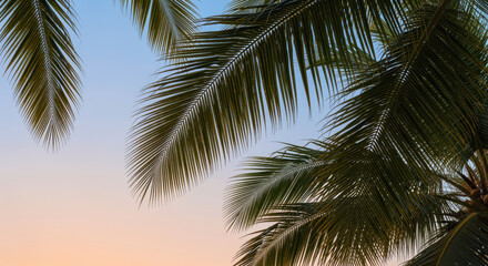 Tropical palm tree leaves framing a tranquil sunset sky with gentle pastel colors and serene summer vacation atmosphere