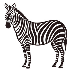 Fototapeta premium Vector illustration of a standing zebra profile with black and white stripes, isolated on a white background
