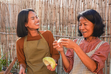 Happy asian mother prepare thai traditional food with adult daughter outdoor - Family and culture concept