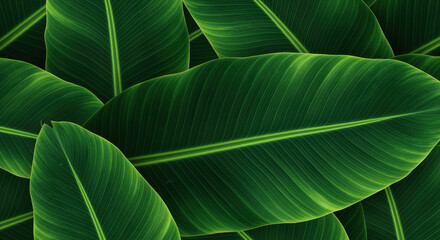 Lush overlapping tropical banana leaves with vibrant green texture and natural botanical pattern background