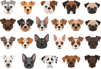 Set of cute dog faces, large collection of various breeds. Vector pet portraits, isolated cartoon icons. Pug, boxer, bulldog, dalmatian heads.