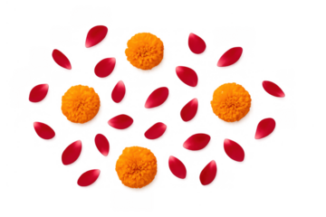 Marigold flowers and red rose petals falling, creating a vibrant decorative scattering on transparent background