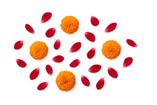 Marigold flowers and red rose petals falling, creating a vibrant decorative scattering on transparent background