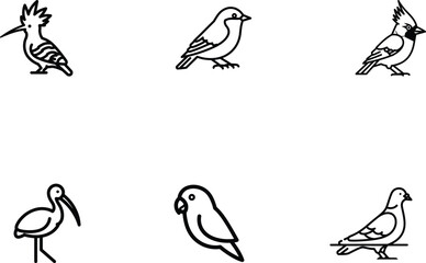 Collection of diverse bird species in minimalist line art a showcase of avian diversity and design the perfect representation of nature conservation and wildlife appreciation