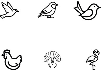 Diverse bird species illustration set in minimalist outline style suitable for design projects featuring nature avian fauna and ornithological themes evoking simplicity and elegance