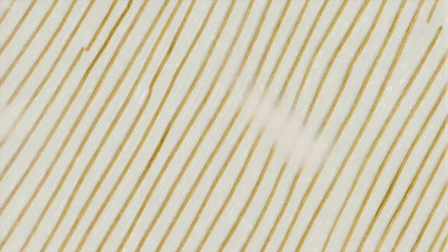 Diagonal, parallel golden lines on a white background, creating a textured surface