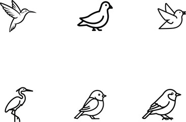 Set of Line Art Birds Depicting a Hummingbird a Dove a Bird in Flight a Heron and Two Finches for Animal Diversity