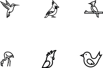 Fototapeta premium Vector Illustration of Various Bird Species Including Hummingbird Cardinal Woodpecker Flamingo Cockatoo and Sparrow on a White Background Depicting Wildlife and Avian Diversity