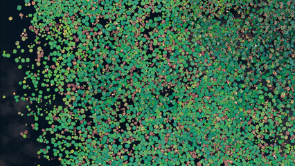 Top-down aerial photo of vibrant green and multicolored floating leaves scattered over dark, calm water, creating a striking natural abstract pattern.