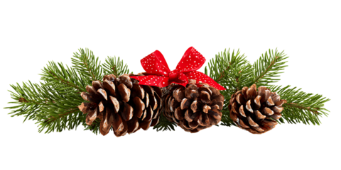 Christmas decoration with pine cones, fir branches and red bow isolated on transparent background