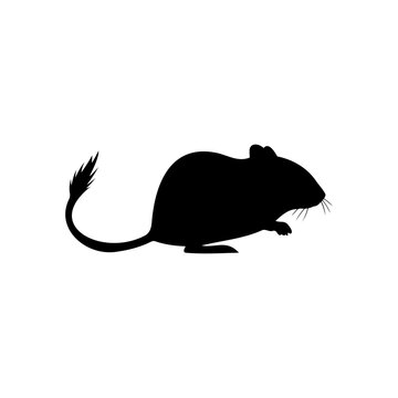 Mongolian gerbil silhouette icon vector flat illustration design.