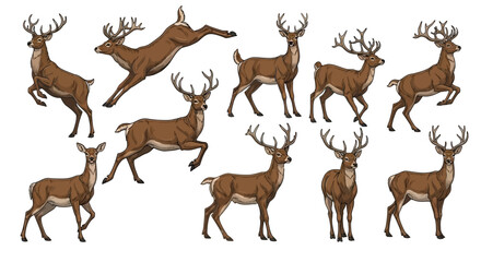 Obraz premium cristmas reindeers isolated on white background