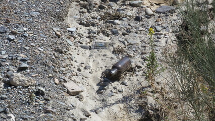 Botella de vidrio oscura abandonada y parcialmente enterrada en un lecho de arena y grava, junto a un arbusto verde bajo la luz intensa del sol.