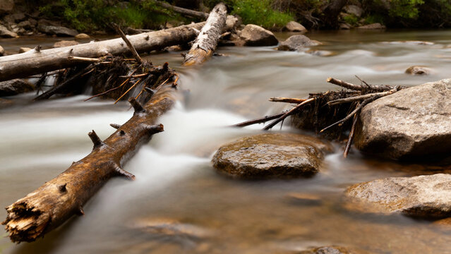 Stream flowing over rocks and fallen logs in a forested area - Powered by Adobe