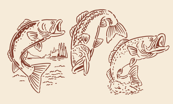 Set of three hand-drawn bass fish outline illustrations. Vintage fishing artwork for posters or t-shirt prints