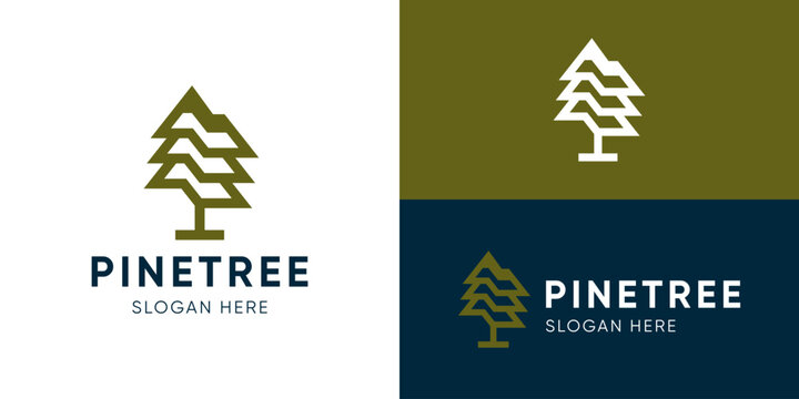 Creative simple pine tree logo template. Modern evergreen logo design vector illustration.