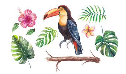 Watercolor tropical set with a toucan, hibiscus, plumeria flowers, monstera and palm leaves, and a wooden branch. Vibrant hand-painted botanical and wildlife elements isolated for design projects.