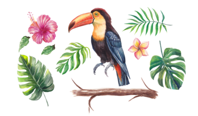 Watercolor tropical set with a toucan, hibiscus, plumeria flowers, monstera and palm leaves, and a wooden branch. Vibrant hand-painted botanical and wildlife elements isolated for design projects.