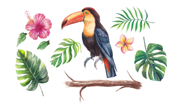 Watercolor tropical set with a toucan, hibiscus, plumeria flowers, monstera and palm leaves, and a wooden branch. Vibrant hand-painted botanical and wildlife elements isolated for design projects.