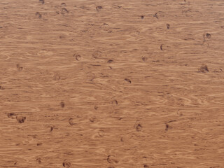 Light wood texture with distinct circular impressions and natural grain flow across the surface.