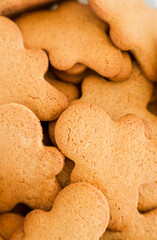 Tropical Christmas DIY art class with kids and diverse women workshop leaders making an eco-friendly cardboard holiday house, visible greenery and warm weather outside, boy wearing Santa hat proudly