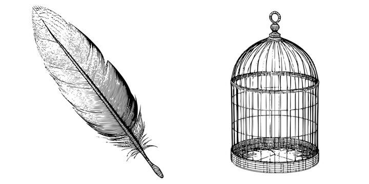 Feathered Flight Imagination: Pure 2D Rendering Stylized Bird Feather Cage Solid Fill | Clean, isolated vector art for creative projects.