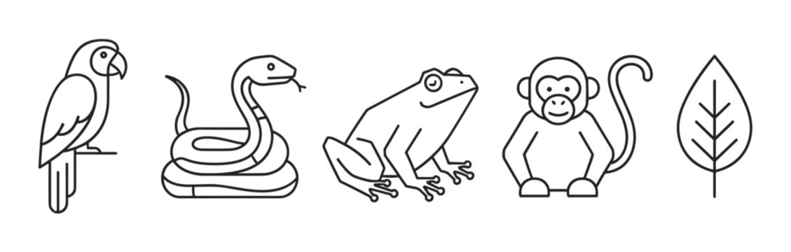 A collection of minimalist jungle animal icons, including a parrot, snake, frog, and monkey, alongside a tropical leaf, all rendered in a clean and simple black line art style