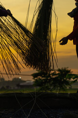 Vietnamese women pounding sedge grass at sunset in rural Vietnam