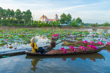 Vietnamese woman rowing a wooden boat harvesting water lilies in the Mekong Delta