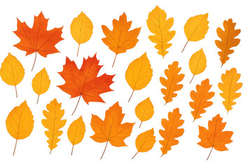 Fototapeta premium Autumn tree leaves falling, colorful maple and oak foliage representing nature, seasons, and fall harvest on transparent background