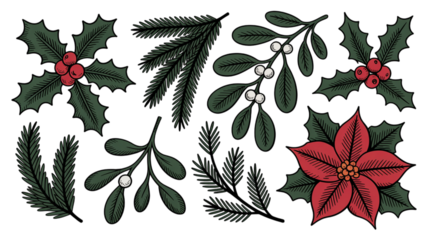 Festive botanical Christmas elements featuring holly, mistletoe, pine branches, and poinsettia for holiday cards, invitations, and elegant seasonal designs