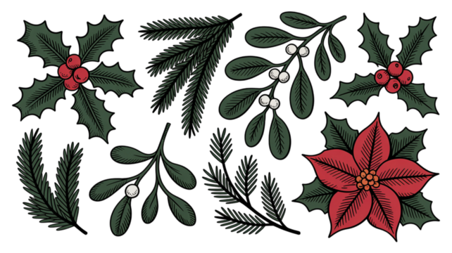 Festive botanical Christmas elements featuring holly, mistletoe, pine branches, and poinsettia for holiday cards, invitations, and elegant seasonal designs