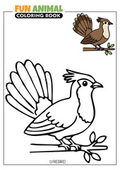 Lyrebird Coloring Book Page for Kids with a Full Color Reference	