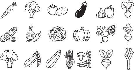 Assorted Hand Drawn Vegetables Illustration Healthy Eating and Vegan Concept