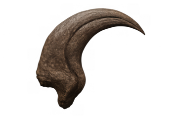 Dinosaur talon, a sharp ancient carnivore claw, symbolizing prehistoric power and evolution, transparent background