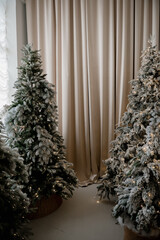 Christmas background with fir trees on beige textile background