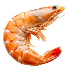 One single cooked and peeled shrimp with tail, a fresh seafood delicacy.isolated on transparent background. PNG