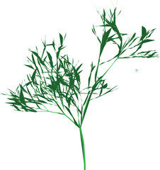 Stylized Green Plant Illustration on White Background for Design Projects