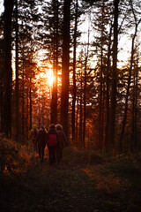 Eine Gruppe von Menschen wandert durch einen Wald im warmen Licht des Sonnenuntergangs. Die Sonne scheint durch die B&auml;ume, die Szene wirkt stimmungsvoll, herbstlich und gemeinschaftlich.