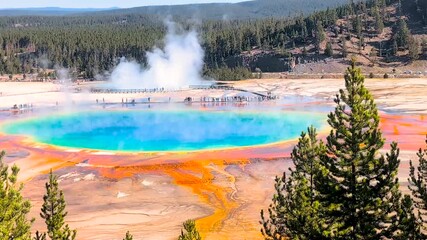Geothermal Hot Spring Pool in Yellowstone National Park - Steaming Thermal Water Feature