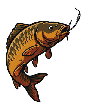 Common carp fish jumping on fishing hook &ndash; detailed freshwater angling mascot vector illustration