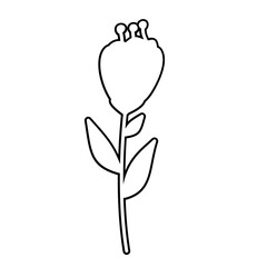 Flower outline Illustration