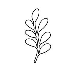 Flower outline Illustration