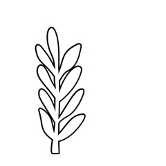 Flower outline Illustration