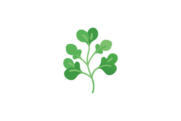 Fresh Green Plant Leaves Illustration Botanical Nature Element Simple Vector Graphic Design Isolated White Background Organic Growth