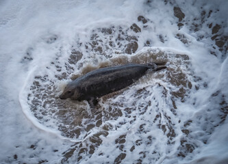 views from walking around the Great Orme Llandudno