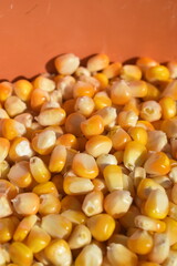 Milho verde desbulhado amarelo, grão do cereal vistos de perto em bacia laranja