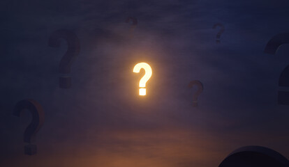 The Important Question Now